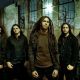 Shadows Fall