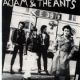Adam & the Ants