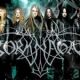 Borknagar