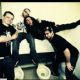 The Acacia Strain