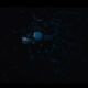 Ghost in the Shell (2017)