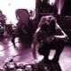 The Warlocks