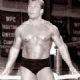 David Sammartino