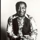 Muddy Waters