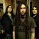 Shadows Fall