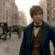 Fantastic Beasts and Where to Find Them (2016)