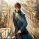 Fantastic Beasts and Where to Find Them (2016)