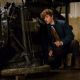 Fantastic Beasts and Where to Find Them (2016)