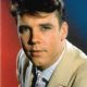 Marty Wilde