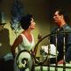 Cat on a Hot Tin Roof