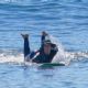 Leighton Meester – On a solo surf session in Malibu