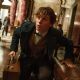 Fantastic Beasts and Where to Find Them (2016)