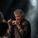 Dan McCafferty