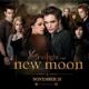 The Twilight Saga: New Moon