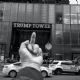 Ai Weiwei