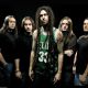 Shadows Fall