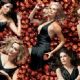 Teri Hatcher - Desperate Housewives Promo Picture