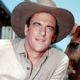 Matt Dillon