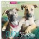 Unknown - Salud y Bienestar Por Dentro Magazine Cover [Puerto Rico] (7 July 2024)