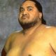Yokozuna