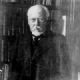 Georg von Hertling