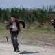 Looper