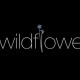 Wildflower