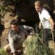 Alex O'Loughlin