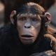 Dawn of the Planet of the Apes