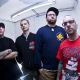 The Acacia Strain