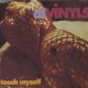 Divinyls