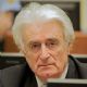 Radovan Karadzic