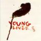 Young Livers