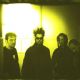 Static-X