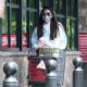Olivia Munn – Shopping at Gelson’s to pick up groceries in Los Feliz