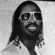 Stevie Wonder
