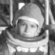 Luke Scott