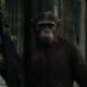 Dawn of the Planet of the Apes