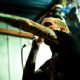 Converge