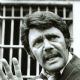Harry Guardino