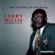 How Do You Keep the Music Playing? (Larry Willis album)