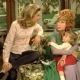 Bewitched