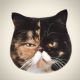 Pudge the Cat