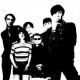Pulp