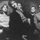 Pulp