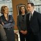 The Good Wife (2009)