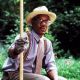 Driving Miss Daisy - Morgan Freeman