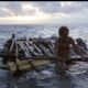 Cast Away - Tom Hanks
