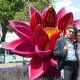 James Jagger and Anoushka Sharma