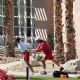 Leylah Fernandez – Workout with her dad Jorge Fernandez and coach Douglas Cordero in Palm Springs